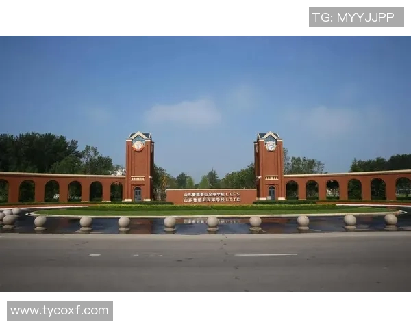 安徽巢湖足球崛起之路探索地方足球发展与青训体系建设的未来方向